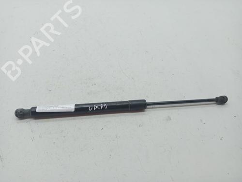Used Hood lift support DACIA DOKKER MPV (KE_) 1.5 dCi / Blue dCi 75 (KEAJ, KEAH, KEJW) (75 hp) 23358770