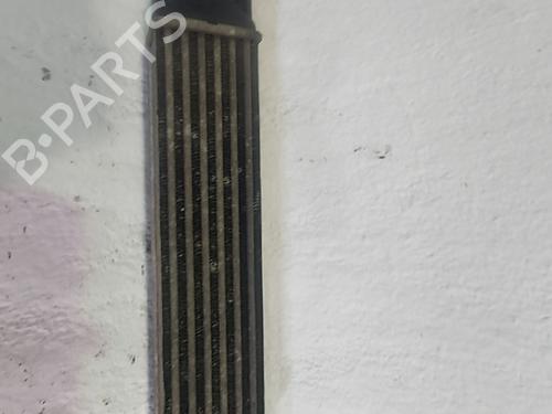 Intercooler FIAT GRANDE PUNTO (199_) 1.3 D Multijet (199.AXD11, 199.AXD1A, 199.AXD1B,... (90 hp) 31210726