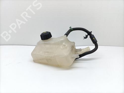 Used Expansion tank RENAULT FLUENCE (L3_) 1.5 dCi (L30D, L30L, L306, L33F, L33L, L33M, L33V, L33W) (110 hp) 25455691