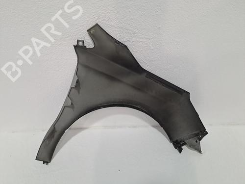 Left front fenders CITROËN C4 II (NC_) 1.6 BlueHDi 100 | BP24402650C41