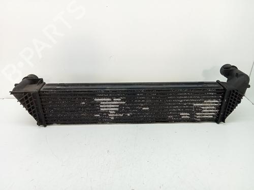 Used Intercooler RENAULT LAGUNA III Grandtour (KT0/1) 2.0 dCi (KT01, KT08, KT09, KT0K, KT12, KT1D, KT1W) (150 hp) 29421195