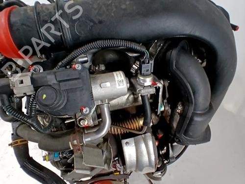 Engine RENAULT MEGANE III Hatchback (BZ0/1_, B3_) 1.5 dCi (BZ1G, BZ1W, BZ0R) | BP29556451M1 