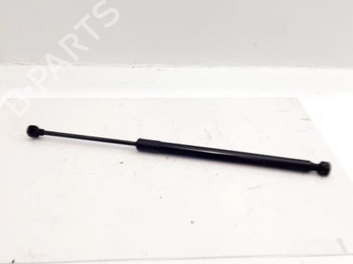 Tailgate lift support AUDI A5 (8T3) 2.0 TDI | BP31609602C138 