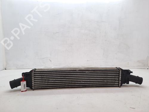 Used Intercooler AUDI Q5 (8RB) 2.0 TDI quattro (170 hp) 26192398