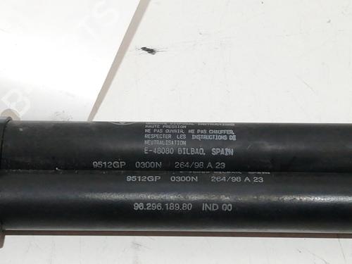 Hood lift support CITROËN XSARA (N1) 1.9 TD | BP25470079C139 