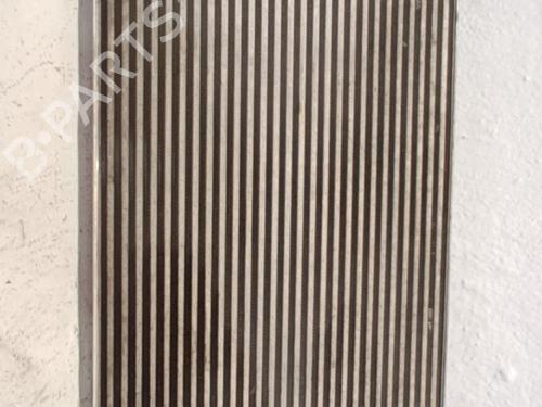 Used Intercooler Intercooler SEAT TOLEDO III (5P2) 2.0 TDI (140 hp) 36771902 36771902