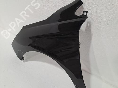 Left front fenders CITROËN C4 II (NC_) 1.6 BlueHDi 100 | BP24402650C41