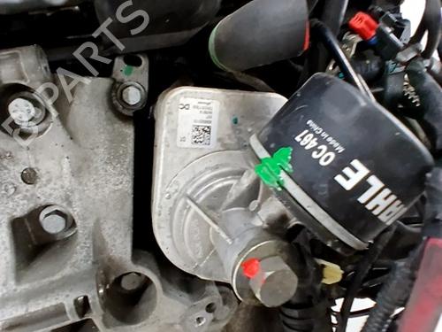 Engine RENAULT MEGANE III Hatchback (BZ0/1_, B3_) 1.5 dCi (BZ1G, BZ1W, BZ0R) | BP29556451M1 