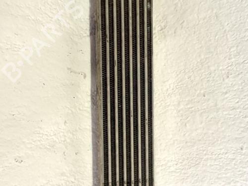 Intercooler FIAT LINEA (323_, 110_) 1.3 D Multijet (323AXB11, 323AXB1A) (90 hp) 31262687