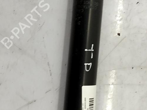 Left rear shock absorber SEAT LEON (1P1) 1.9 TDI | BP31012042M18