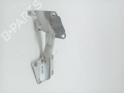 Hinge/Door check strap RENAULT MEGANE III Hatchback (BZ0/1_, B3_) 1.2 TCe (BZ2B, BZ11) | BP24193393C146 