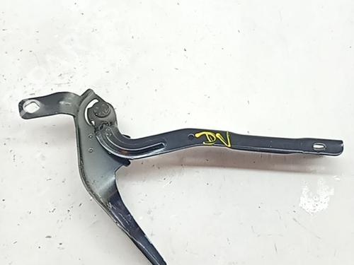 Cerniera/Limitatore di apertura porta CITROËN C4 X (BD_, BE_, BF_) 1.5 BlueHDi 130 (BEYHZB) (131 hp) 31369705