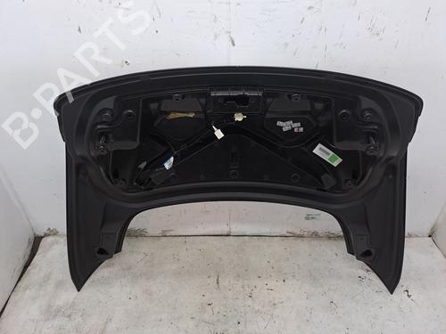 Tailgate RENAULT LAGUNA Coupe (DT0/1) 2.0 dCi (DT01, DT08, DT09, DT0K, DT12, DT1C, DT1D, DT1M,... | BP24402617C6 