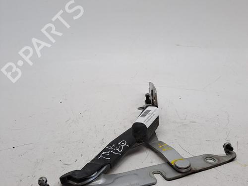 Tailgate lift support AUDI A6 C6 (4F2) 3.0 TDI quattro | BP23371362C138 