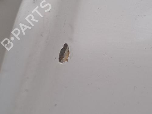 Left rear door SUZUKI ALTO VII (GF, HA25_, HA35_) 1.0 (AMF310, GFC31S) | BP23370467C4