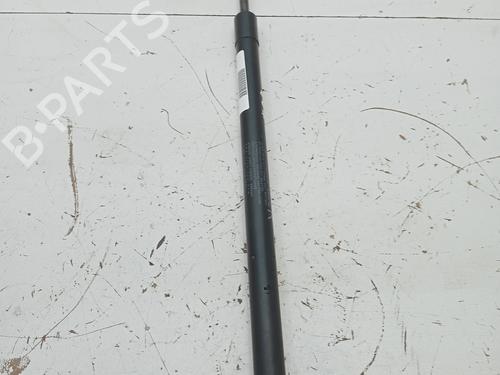 Used Tailgate lift support HONDA CR-V III (RE_) 2.2 i-CTDi 4WD (RE6) (140 hp) 23341186