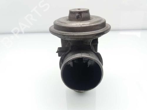 Egr BMW 5 (E39) 530 d | BP23453535M69 