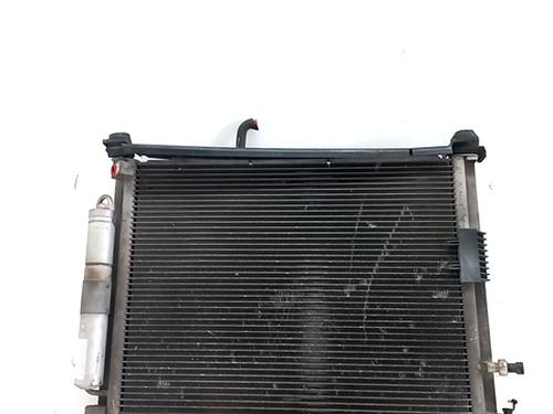 Used Water radiator RENAULT CLIO III (BR0/1, CR0/1) 1.2 16V (BR02, BR0J, BR11, CR02, CR0J, CR11) (75 hp) 29557596