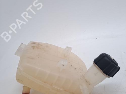 Expansion tank RENAULT TWINGO II (CN0_) 1.5 dCi (CN0E) | BP23367061C120 