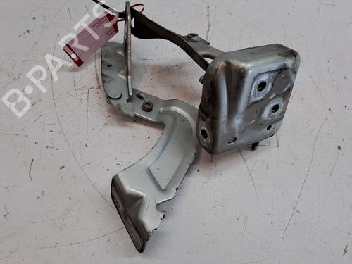 Hinge/Door check strap RENAULT KANGOO (KC0/1_) 1.5 dCi | BP23975433C146 