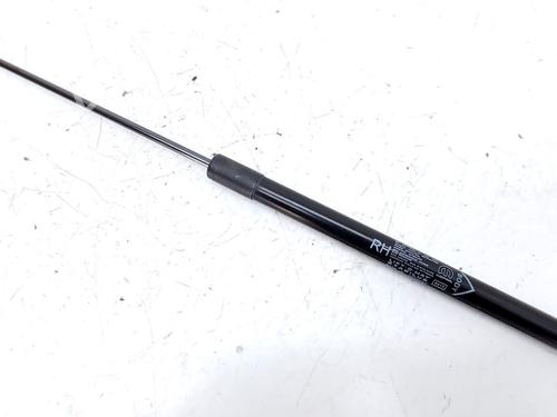 Gasdæmper bagklap Gasdæmper bagklap FIAT TIPO Estate (356_, 357_) 1.4 (356WXF1B) (120 hp) 33764624 33764624