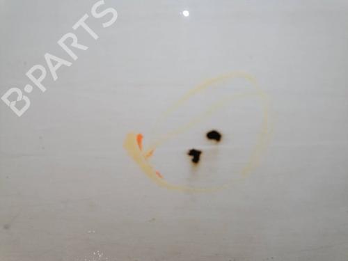 Left front door NISSAN TERRANO II (R20) 2.7 TD 4WD | BP24402275C2