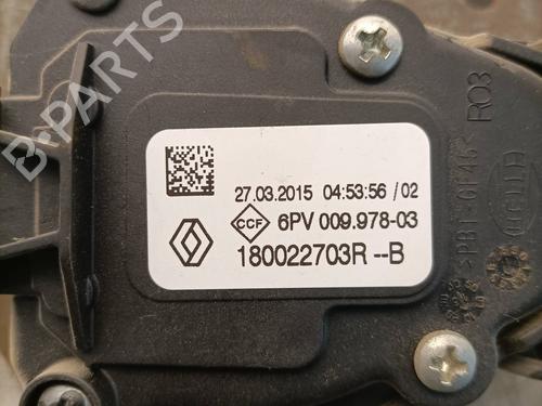 Pedal DACIA SANDERO II TCe 90 (B8M1, B8MA, B8AC) | BP25455317I4 
