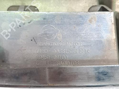 Used Grille SSANGYONG KYRON 2.0 Xdi (141 hp) 23944343