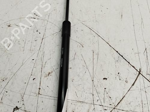 Tailgate lift support EVO EVO 3 1.5 | BP38437652C138 - Image 2