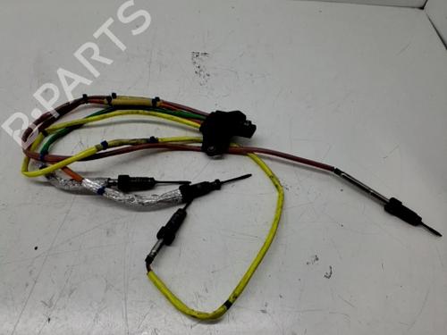 Electronic sensor RENAULT SCÉNIC IV (J9_) 1.7 Blue dCi 120 (J9A7, J9A8) | BP29421333M84 