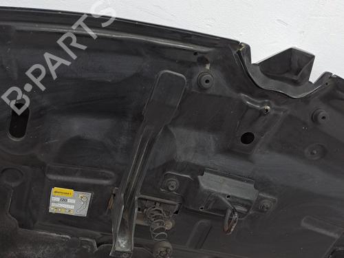 Hood RENAULT MEGANE III Hatchback (BZ0/1_, B3_) 1.5 dCi | BP25998563C1 