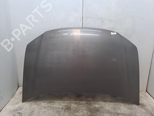 Hood VW TOURAN (1T1, 1T2) 2.0 TDI 16V | BP23370842C1