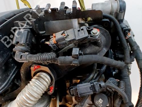 Engine CITROËN BERLINGO Box Body/MPV (B9) 1.6 HDi / BlueHDi 75 | BP30120898M1 