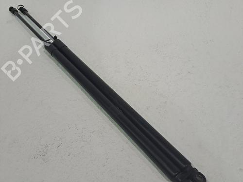 Tailgate lift support FORD KUGA II (DM2) 2.0 TDCi 4x4 1945552