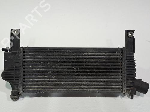 Used Intercooler NISSAN NAVARA NP300 (D40) 2.5 dCi 4WD (171 hp) 23976240