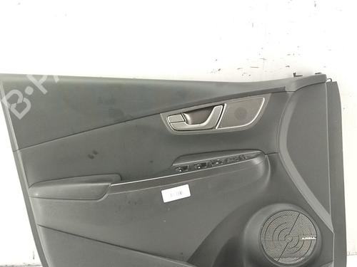 Used Front left panel Front left panel 38749109 38749109