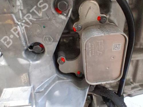 Engine JEEP AVENGER (J2) 1.2 GSE T3 | BP37224005M1  - Image 13