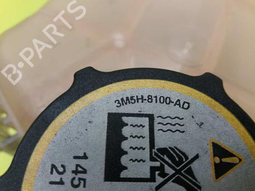 Expansion tank FORD FIESTA VI (CB1, CCN) 1.4 TDCi | BP23650346C120 