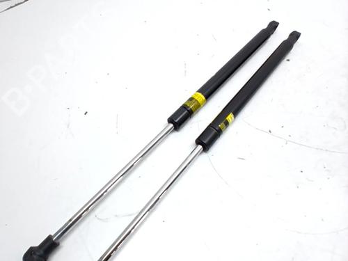 Used Tailgate lift support LEXUS CT (ZWA10_) 200h (ZWA10_, ZWA10R) (136 hp) 30337210