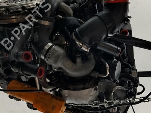 Engine SEAT IBIZA IV ST (6J8, 6P8) 1.6 TDI | BP31916130M1