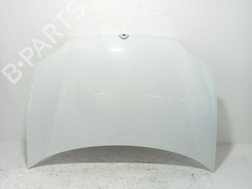 Used Hood RENAULT KANGOO Express (FC0/1_) 1.2 (FC01, FC0A, FC0F) (58 hp) 29024586