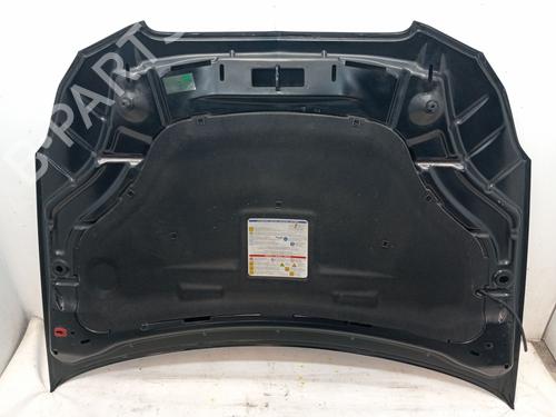 Hood LANCIA DELTA III (844_) 2.0 D Multijet (844.AXD1A, 844.AXM1A) | BP23360424C1 