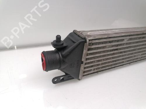 Intercooler FIAT DOBLO MPV (119_, 223_) 1.3 JTD | BP24188413M30 