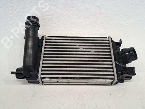 Used Intercooler DACIA SANDERO III 1.0 TCe 90 (91 hp) 26286169