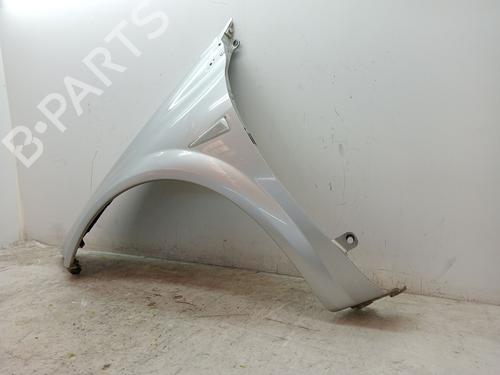 Left front fenders RENAULT MEGANE II (BM0/1_, CM0/1_) 1.5 dCi (BM02, BM13, BM2A, CM02, CM13) | BP23372418C41 