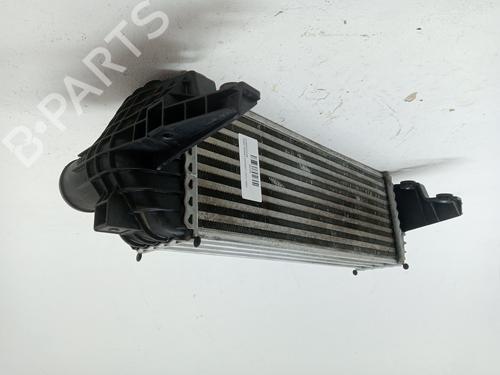 Intercooler FORD TRANSIT CONNECT (P65_, P70_, P80_) 1.8 Di | BP27700224M30 