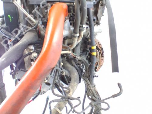 Engine IVECO DAILY IV Platform/Chassis 35C14, 35S14, 35S14 /P | BP37223914M1 - Image 6