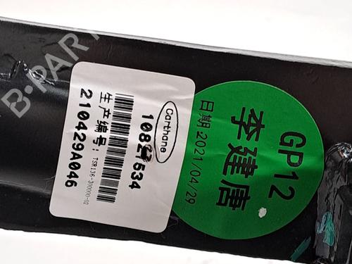 Break pedal MG MG HS (AS23) 1.5 EHS Hybrid (CSA6463) | BP28957668I19 