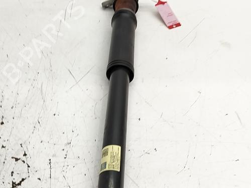 Used Left rear shock absorber Left rear shock absorber 38720886 38720886