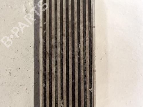 Intercooler Intercooler FORD TRANSIT CONNECT (P65_, P70_, P80_) 1.8 TDCi (110 hp) 34367325 34367325
